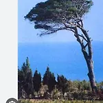 Bed & Breakfast La Casa Dei Greci Agrigento