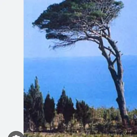 Bed & Breakfast La Casa Dei Greci Agrigento